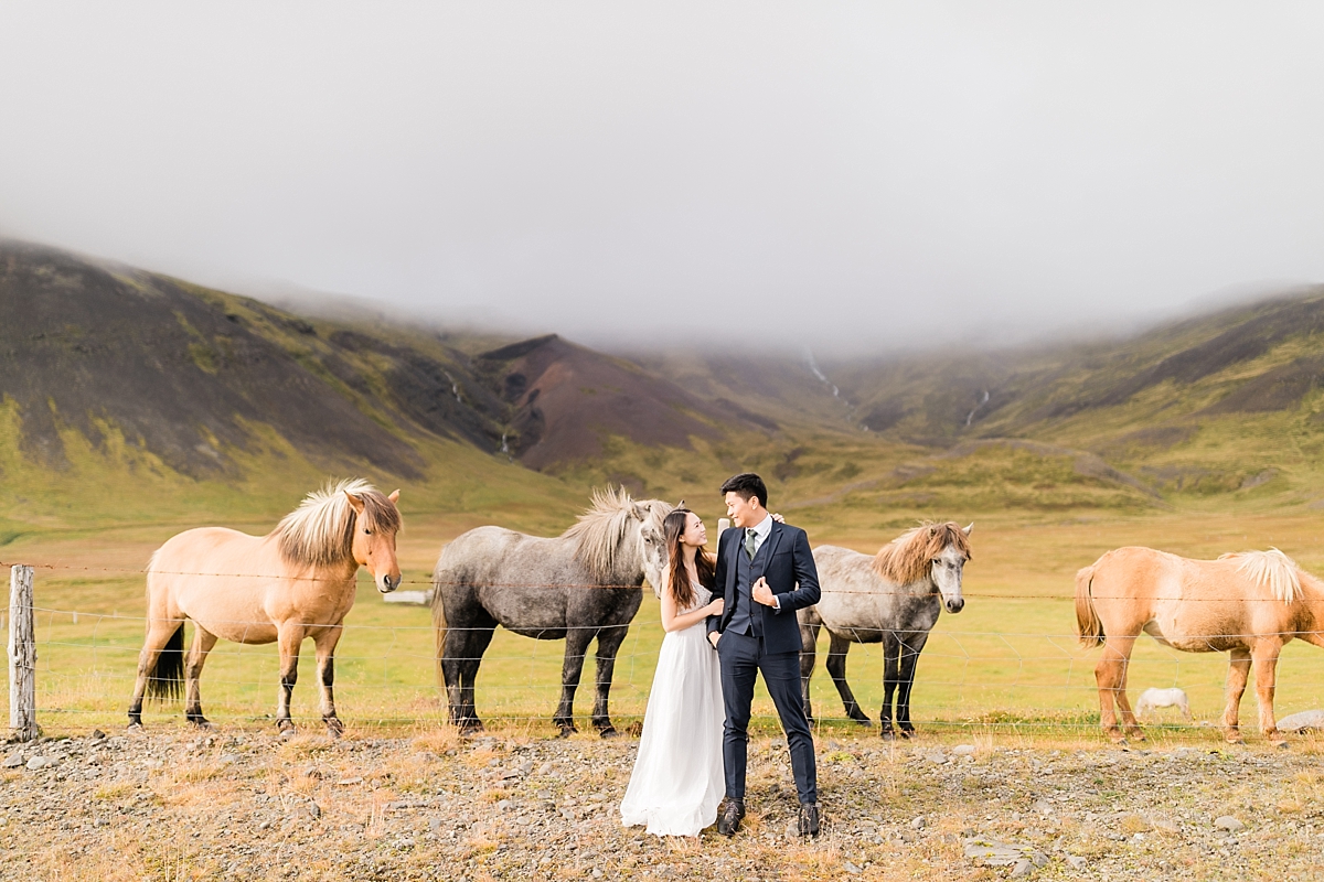 Budir Iceland Wedding Photography, Iceland Wedding Photography, Iceland Photographer, Iceland Wedding Photographer, Iceland Wedding Portraits, Catherine Rhodes Photography, Icelandic Horses