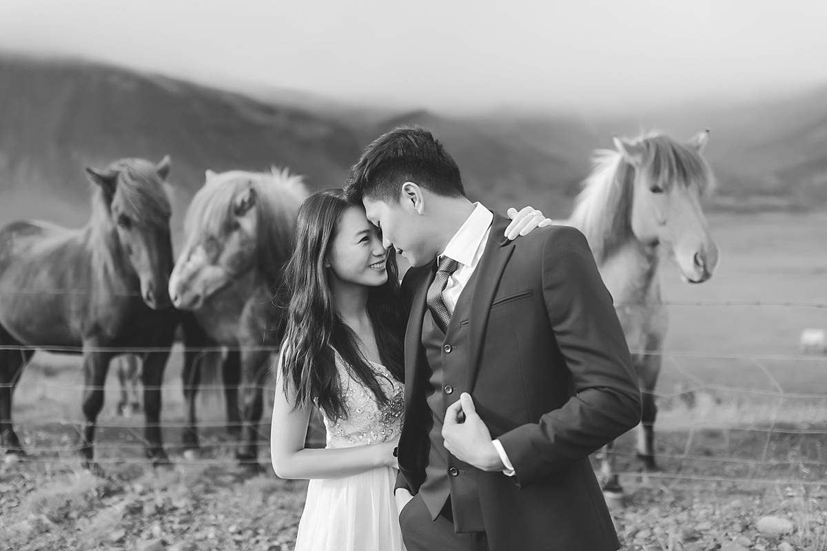 Budir Iceland Wedding Photography, Iceland Wedding Photography, Iceland Photographer, Iceland Wedding Photographer, Iceland Wedding Portraits, Catherine Rhodes Photography, Icelandic Horses