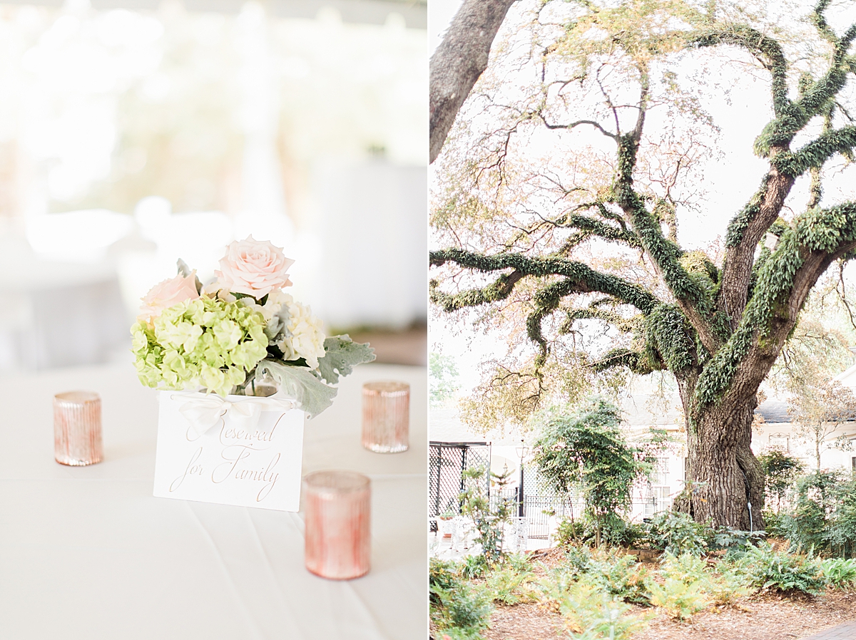 StantonHallWedding_HelenaMattC_CatherineRhodesPhotography-15.jpg